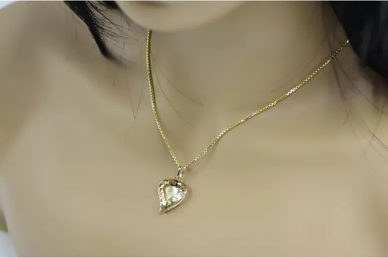 Médaillon et chaîne en or 14 carats pm017yM&cc078y