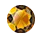 Resplandeciente anillo de Peridoto amarillo en Oro rosa antiguo 14k vrc038
